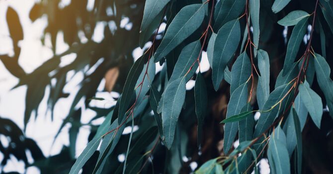 Initial Prenatal Lactation Consultation