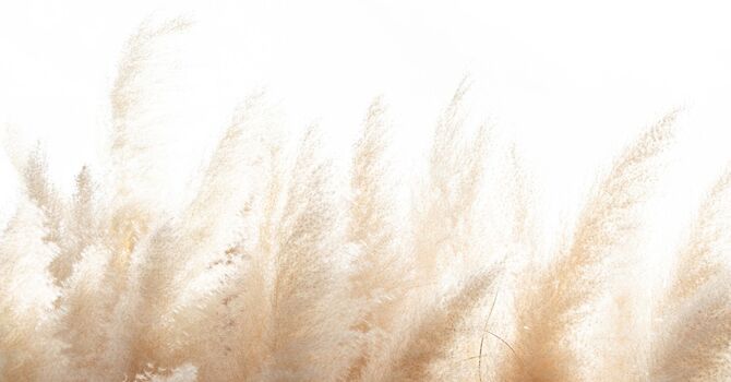 Follow-Up Prenatal Lactation Consultation