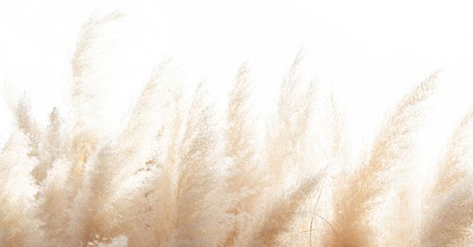 Follow-Up Postpartum Lactation Consultation