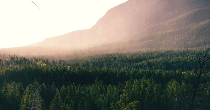 Follow-Up Postpartum Lactation Consultation