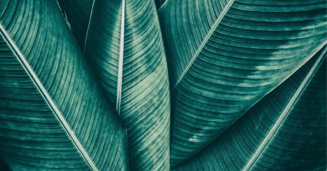 Follow-Up Prenatal Lactation Consultation